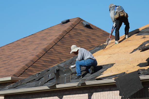 Best Roof Maintenance and Cleaning  in Bret Harte, CA